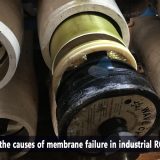 What are the causes of membrane failure in industrial RO systems
