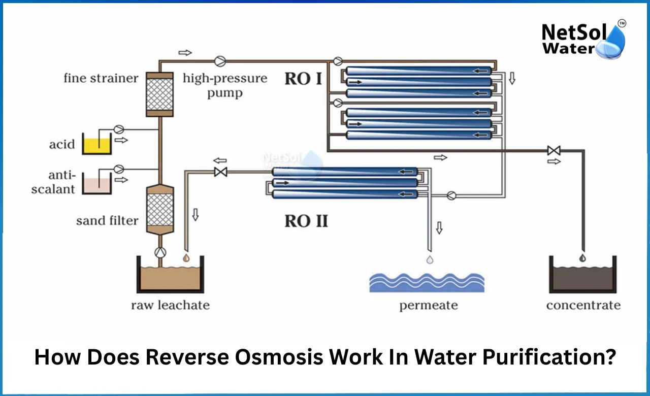 How-does-Reverse-Osmosis-work-in-water-purification.webp