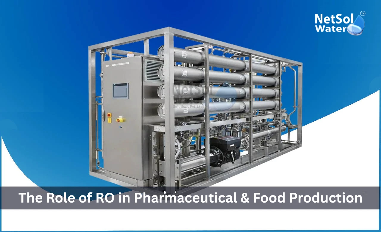 The-Role-of-RO-in-Pharmaceutical-Food-Production.webp