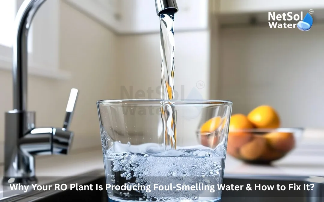 Why-Your-RO-Plant-Is-Producing-Foul-Smelling-Water-How-to-Fix-It.webp