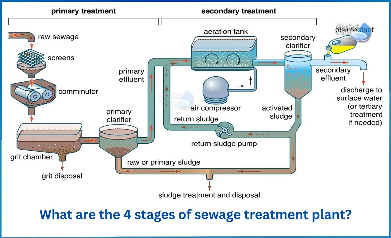 What-are-the-4-stages-of-sewage-treatment-plant.webp