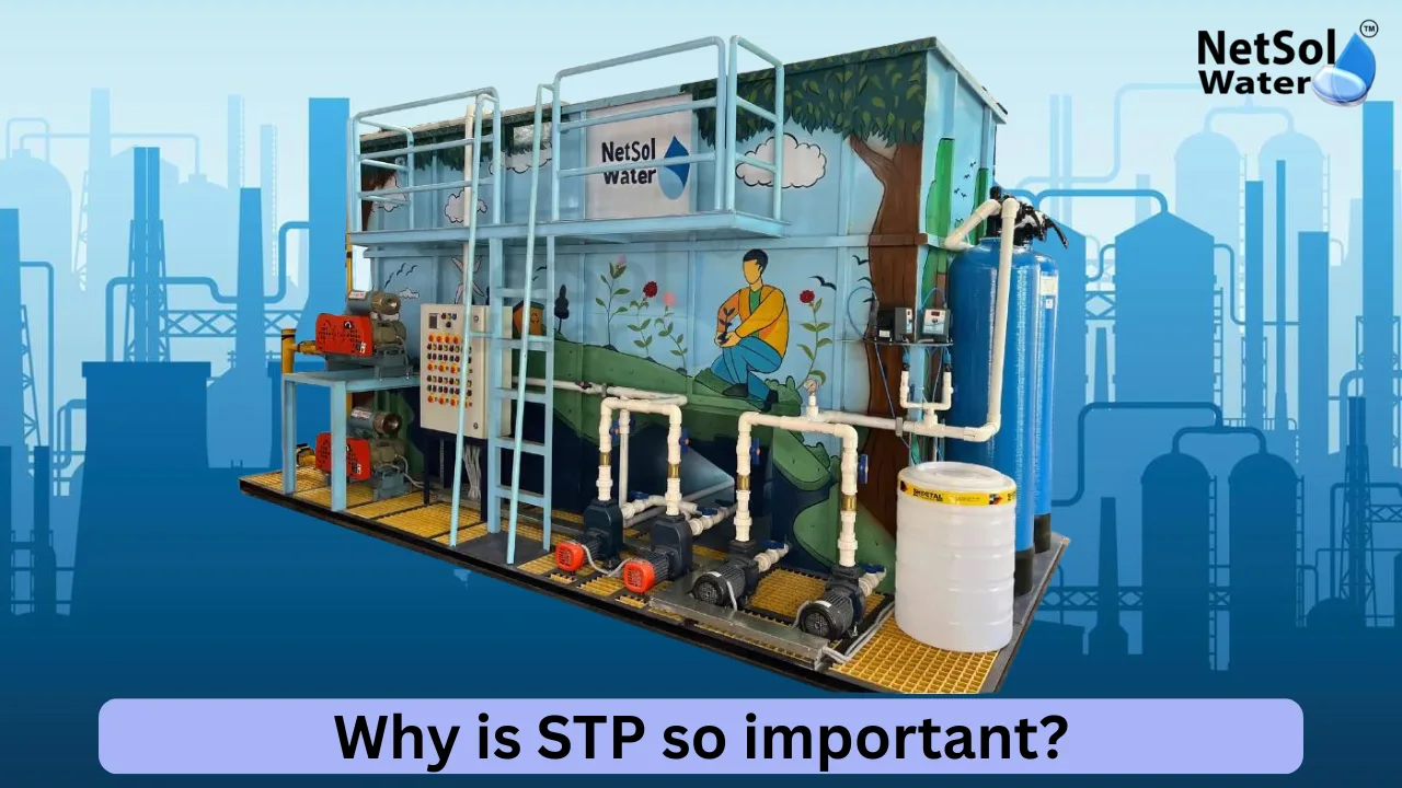 Why-is-STP-so-important.webp
