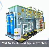 What are the different types of STP?