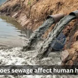 How does sewage affect human health?