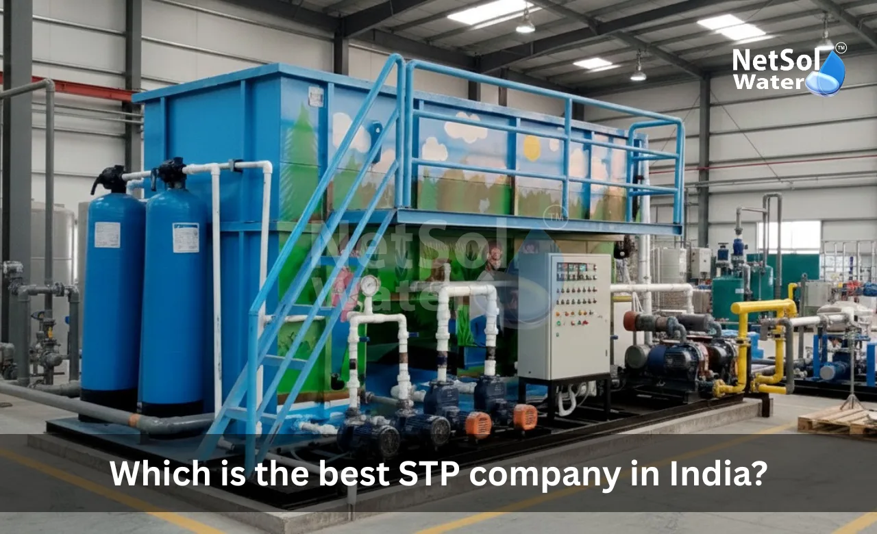 Which-is-the-best-STP-company-in-India.webp