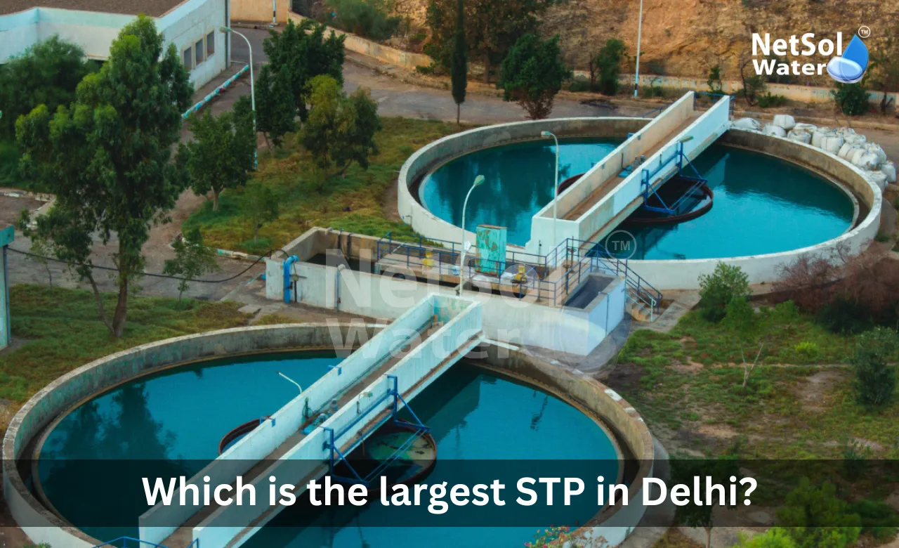 Which-is-the-largest-STP-in-Delhi.webp