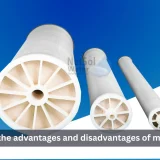 What are the advantages and disadvantages of membrane?