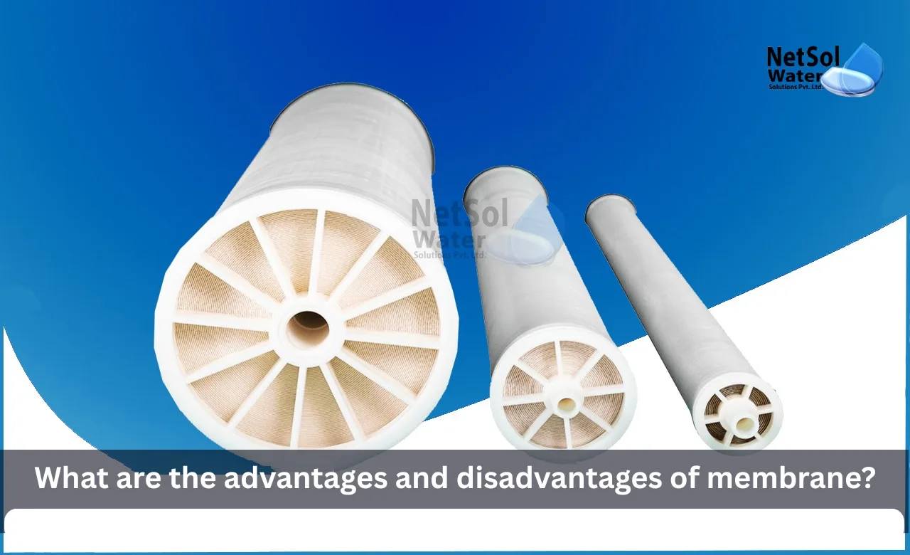 What-are-the-advantages-and-disadvantages-of-membrane.webp